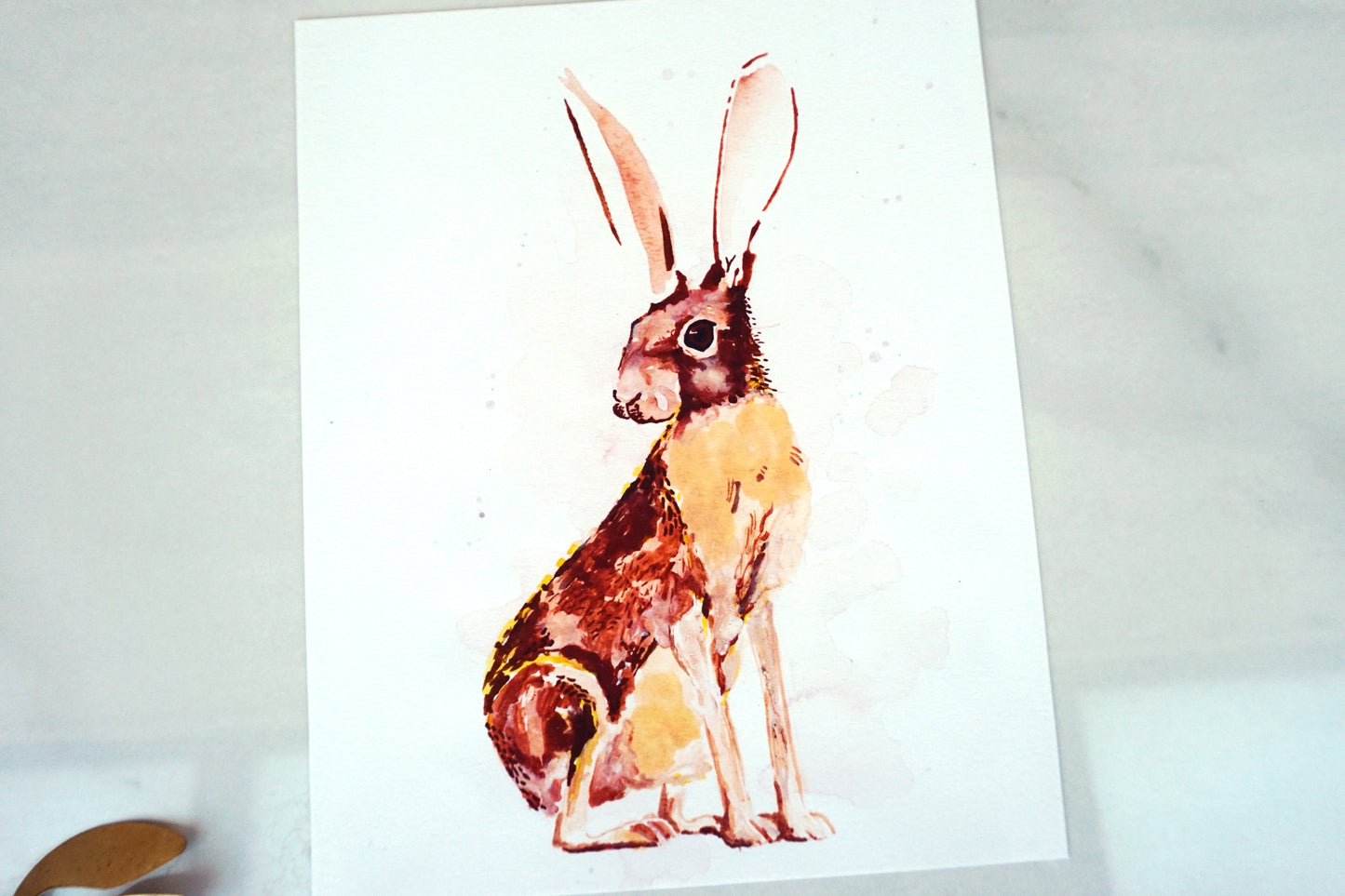 Desert jack rabbit art print, 8x10