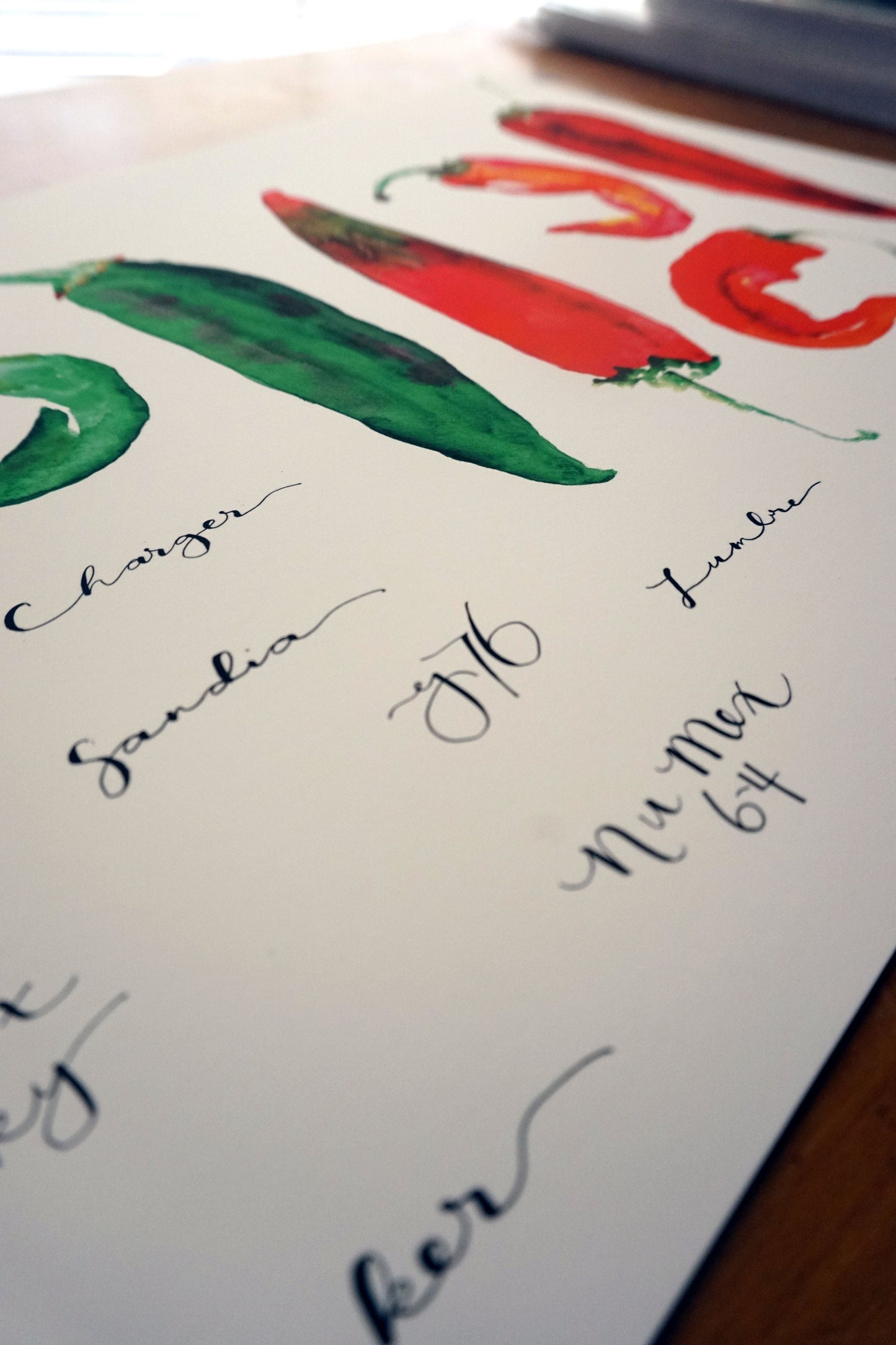 New Mexico Hatch Chile Varieties Print, 11x14