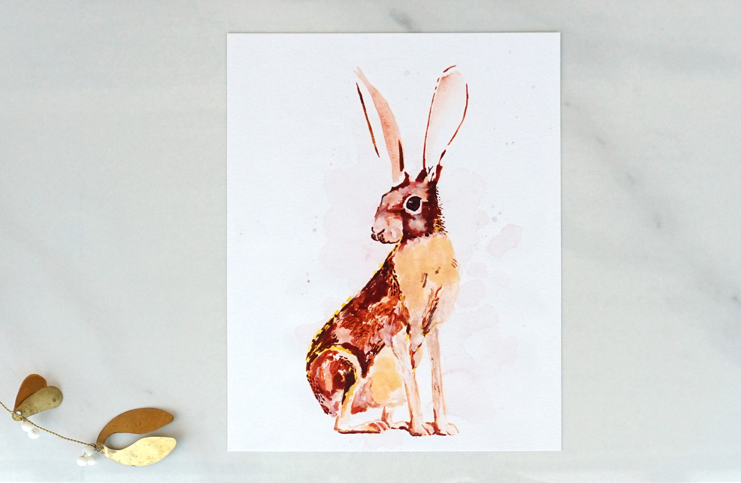 Desert jack rabbit art print, 8x10