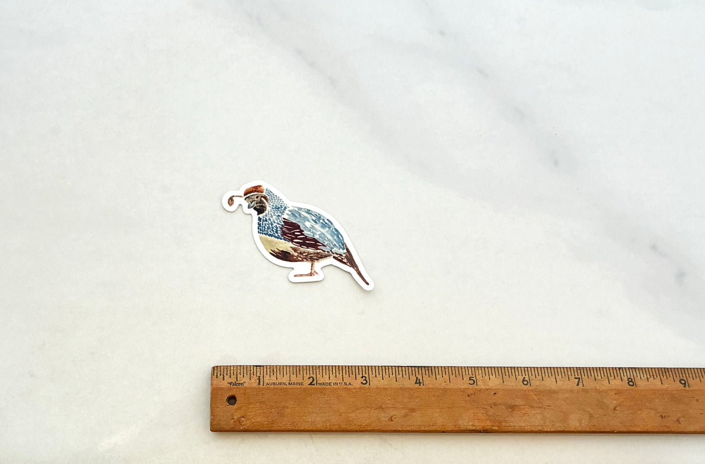 Vinyl Quail Sticker