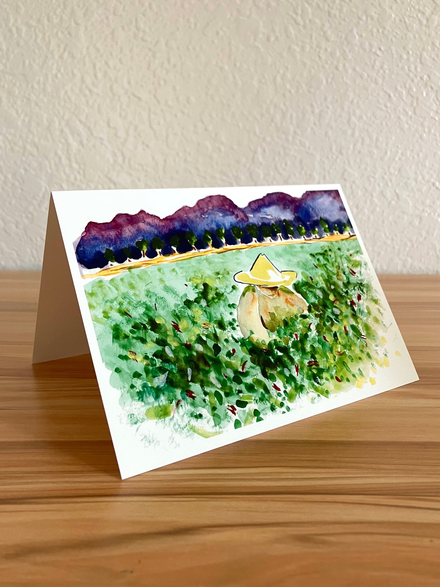 Chile Field Card, A7