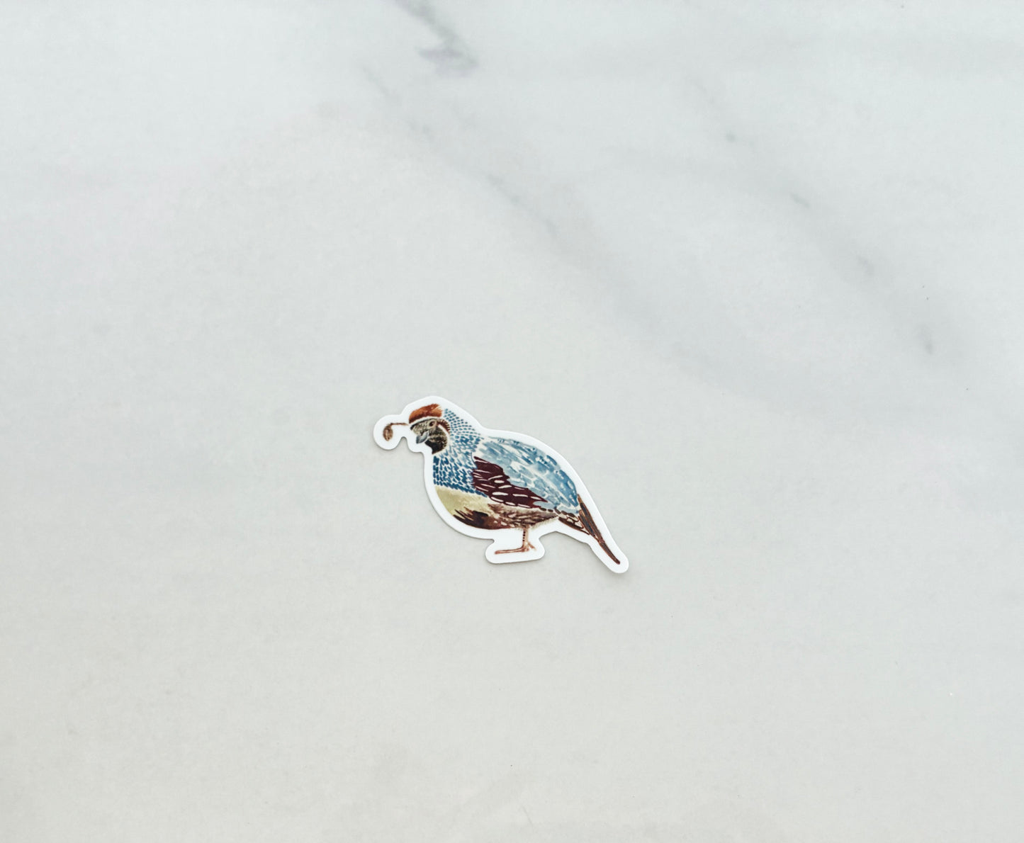 Vinyl Quail Sticker